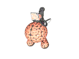 Big Brain
