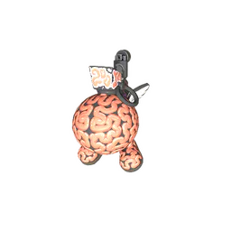 Big Brain