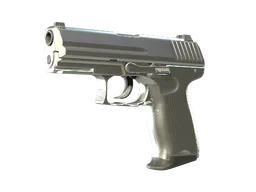 P2000 | Silver