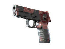 P250 | Constructivist