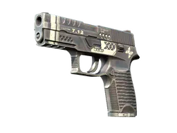 P250 | Re.built