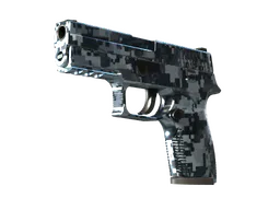 P250 | Steel Disruption