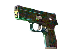 P250 | Visions