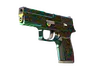 P250 | Visions