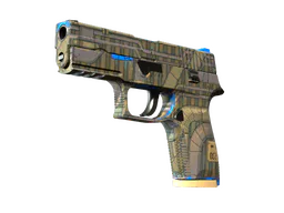 P250 | Exchanger