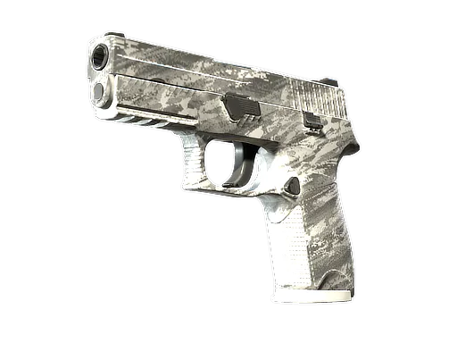 P250 | Sleet
