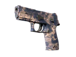 P250 | Drought
