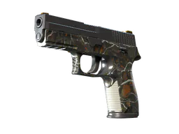 P250 | Small Game