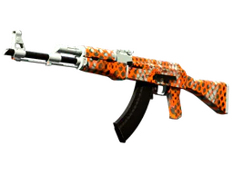 AK-47 | Safety Net
