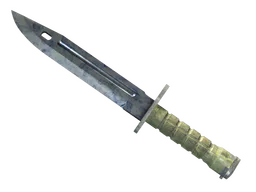 ★ Bayonet | Stained