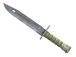 ★ Bayonet | Rust Coat