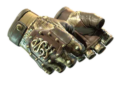 ★ Hydra Gloves | Rattler