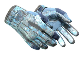 ★ Sport Gloves | Frosty