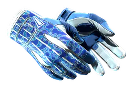 ★ Sport Gloves | Amphibious