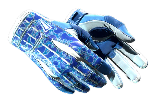 ★ Sport Gloves | Amphibious