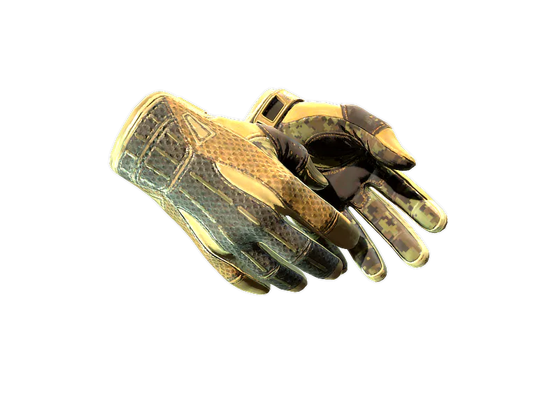 ★ Sport Gloves | Arid