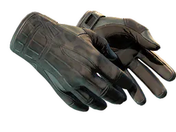 ★ Sport Gloves | Nocts