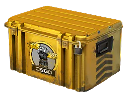 Glove Case