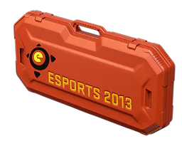 eSports 2013 Case