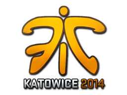 Fnatic (Holo) | Katowice 2014