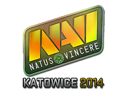 Natus Vincere (Holo) | Katowice 2014