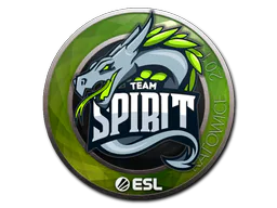 Team Spirit