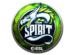 Team Spirit (Foil)