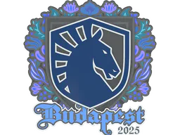 Team Liquid