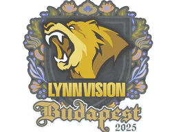 Lynn Vision