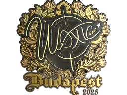 woxic (Gold) | Budapest 2025