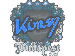 Kursy