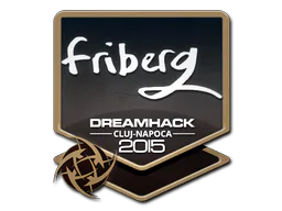 friberg | Cluj-Napoca 2015