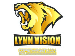 Lynn Vision