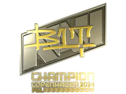 b1t (Gold, Champion)