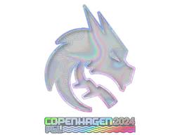 Team Spirit (Holo)