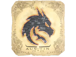 Team Spirit