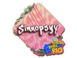 sinnopsyy
