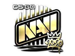 Natus Vincere (Gold)