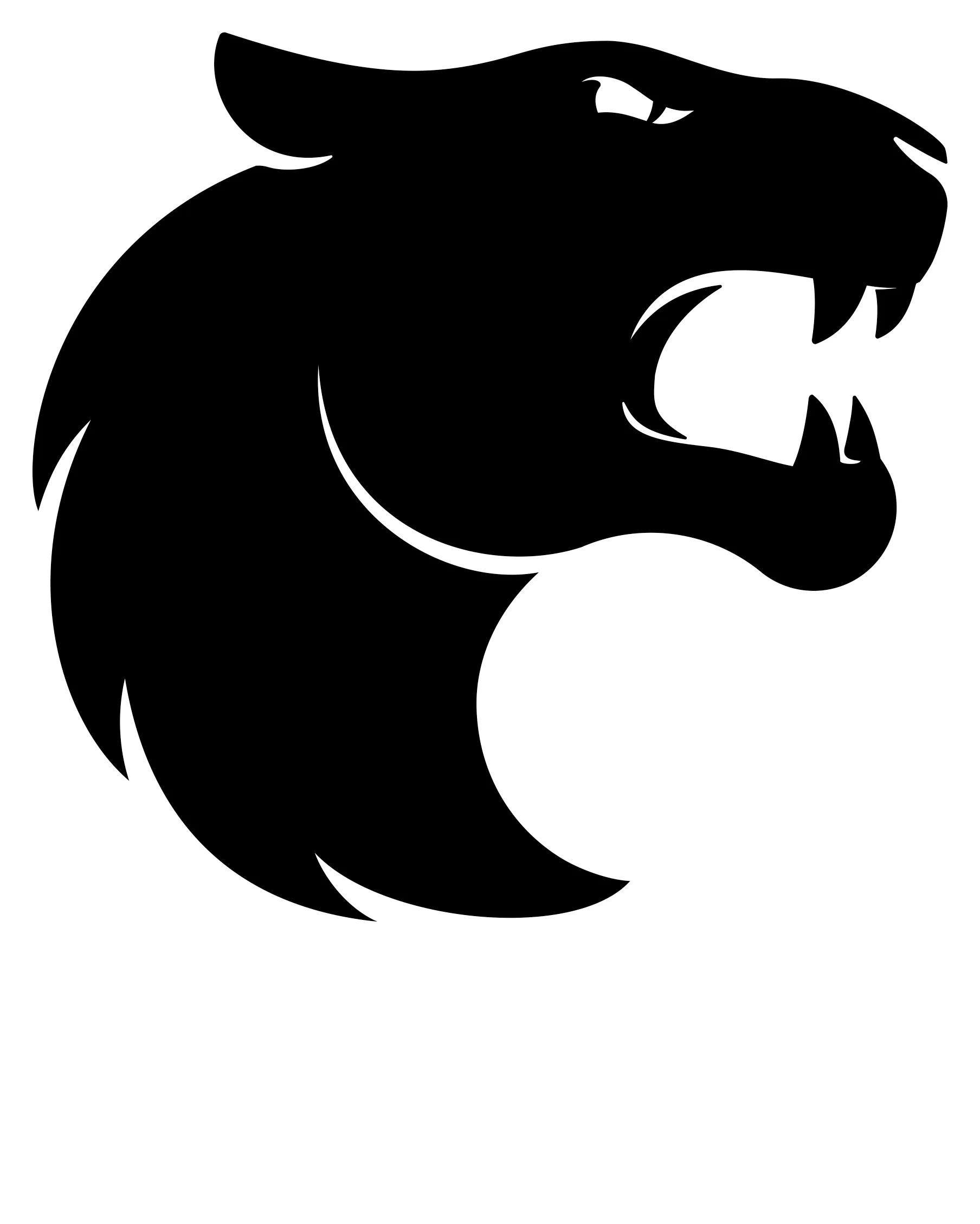 FURIA