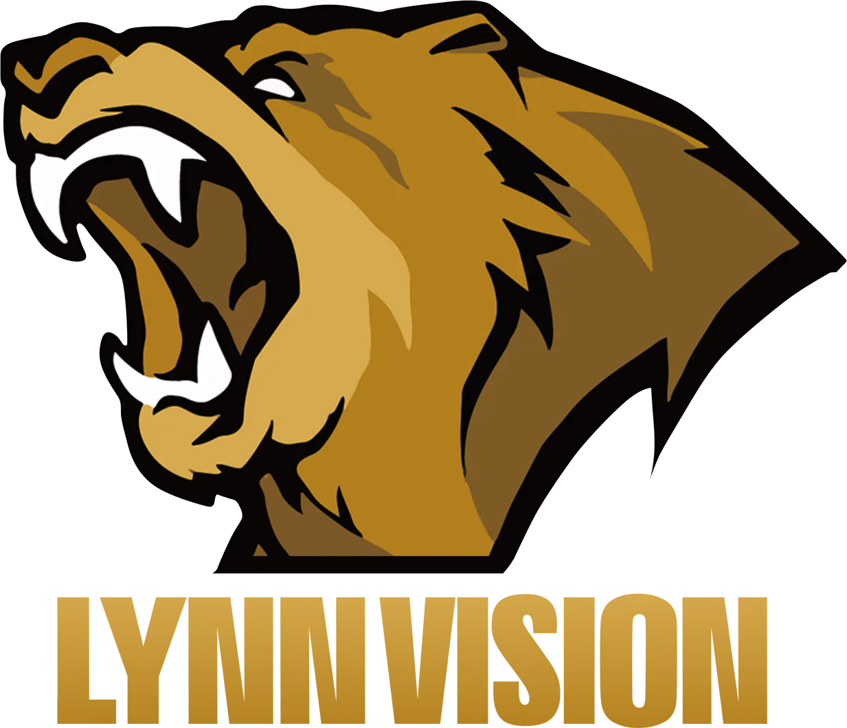 Lynn Vision Gaming