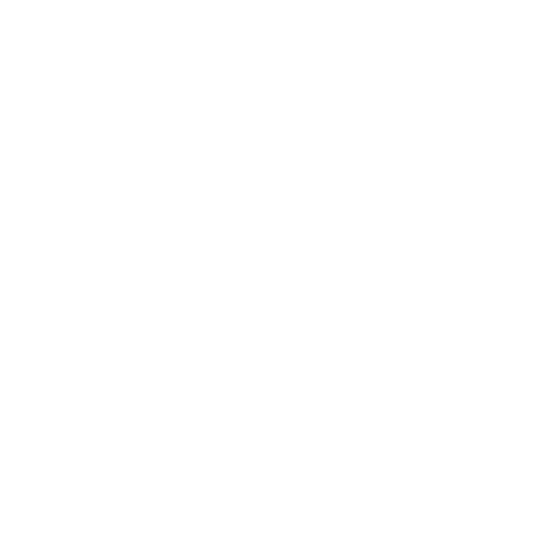 Spirit