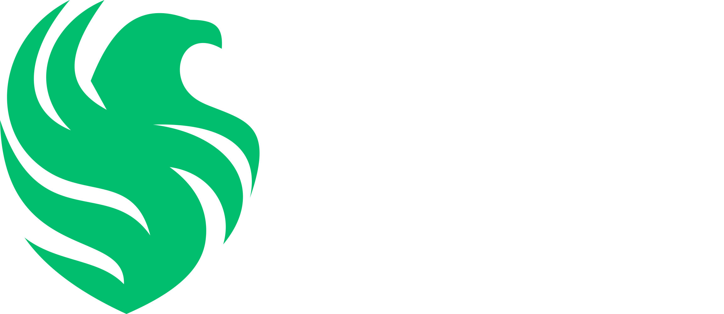 Team Falcons