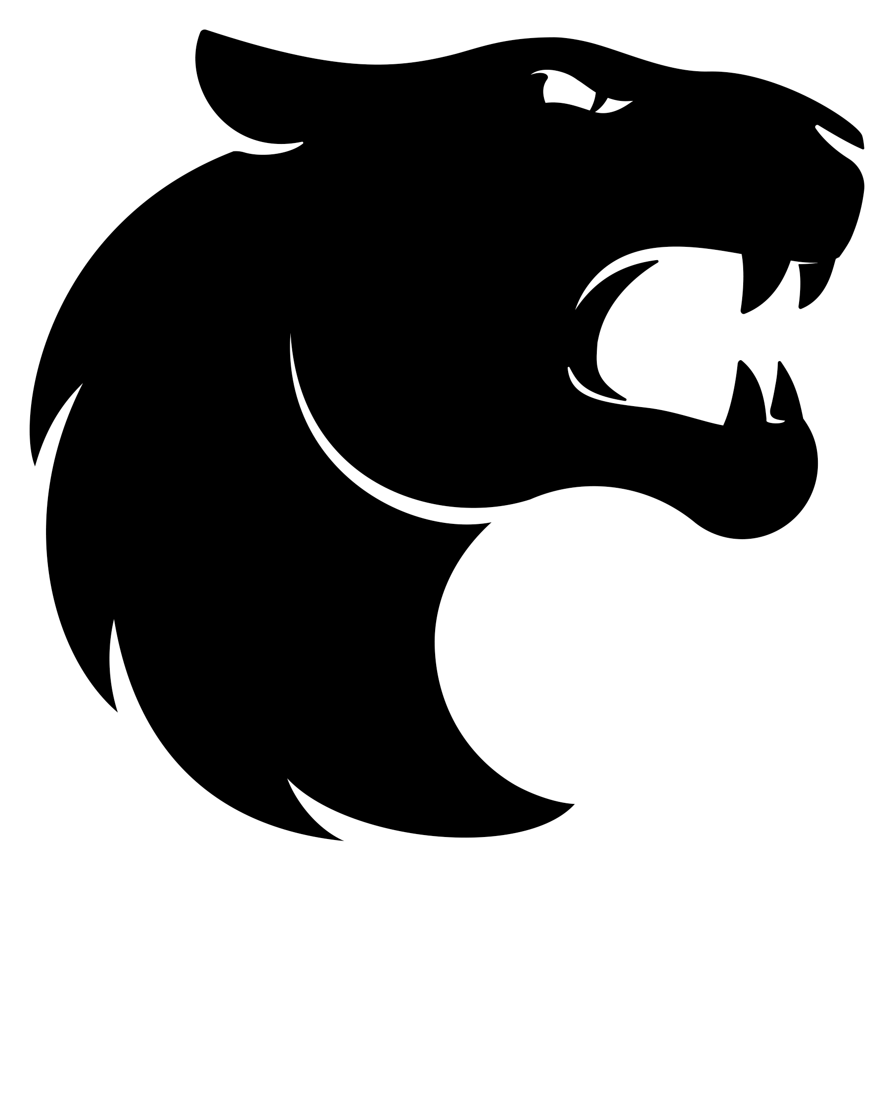 FURIA