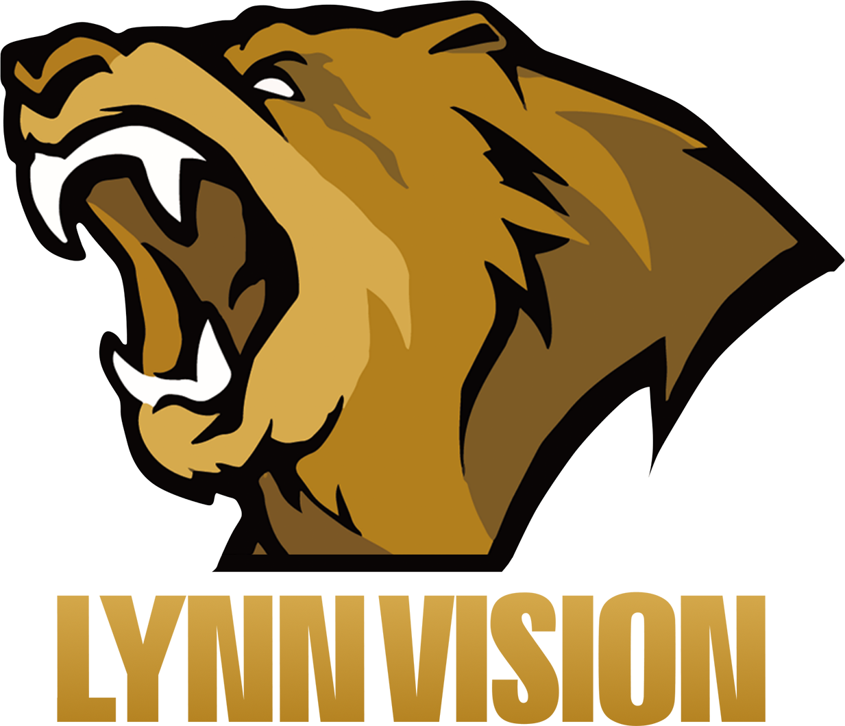 Lynn Vision Gaming