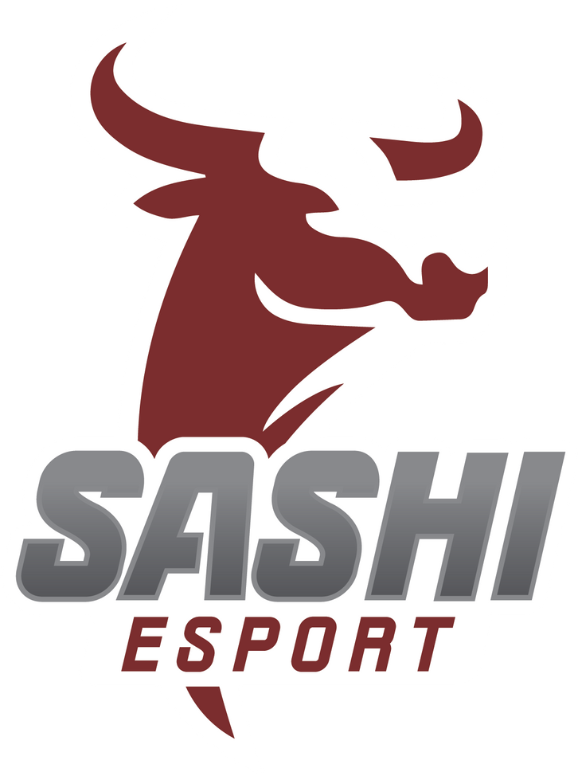 Sashi Esport